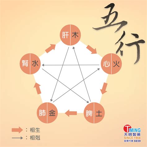 中醫五行|中醫知識 